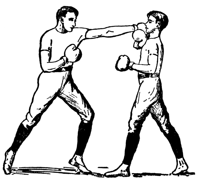 boxing clipart free download - photo #48