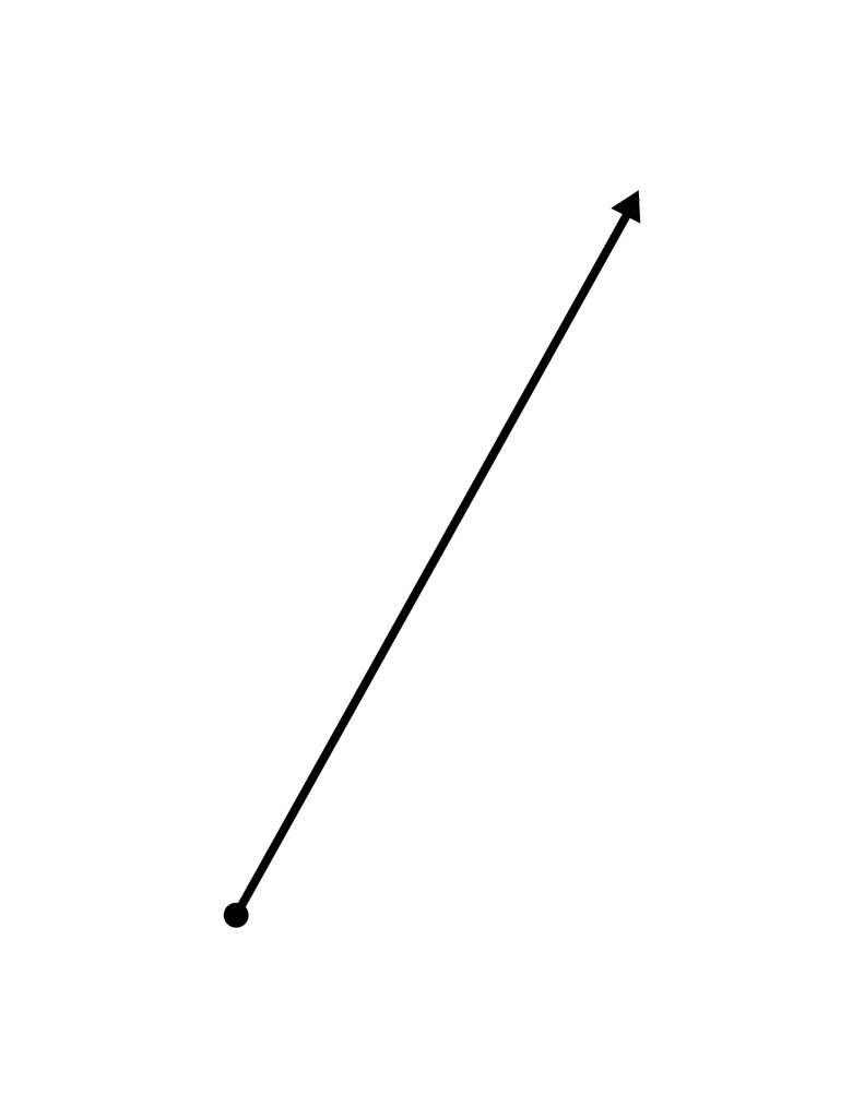 Flashcard of a Ray