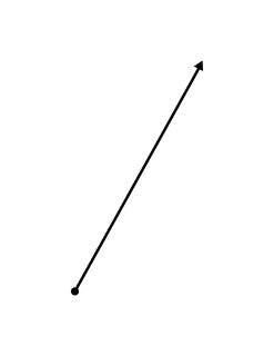 Flashcard of a Ray