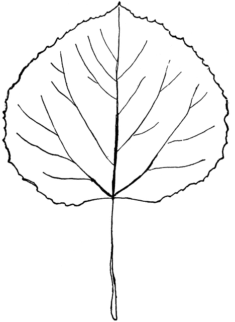 clipart leaf shapes - photo #40