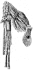 Highland Bagpipe