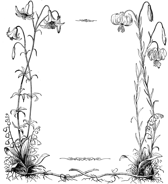 easter lily clipart black and white - photo #34