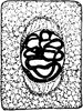 Plant Cell Division 2