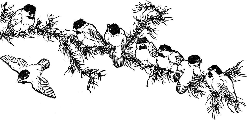 8 Birds On A Tree Branch | ClipArt ETC