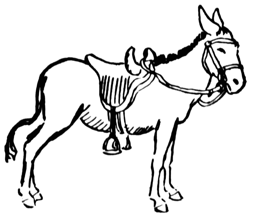 free clipart of a donkey - photo #43