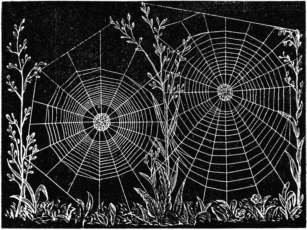 In The Web Of The Spider [1917]