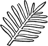 Pectinate Leaf