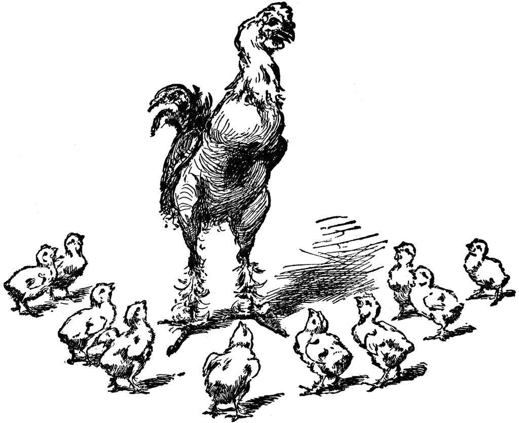 baby chicks clipart. Rooster and Chicks