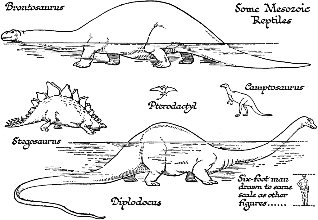 mesozoic reptiles