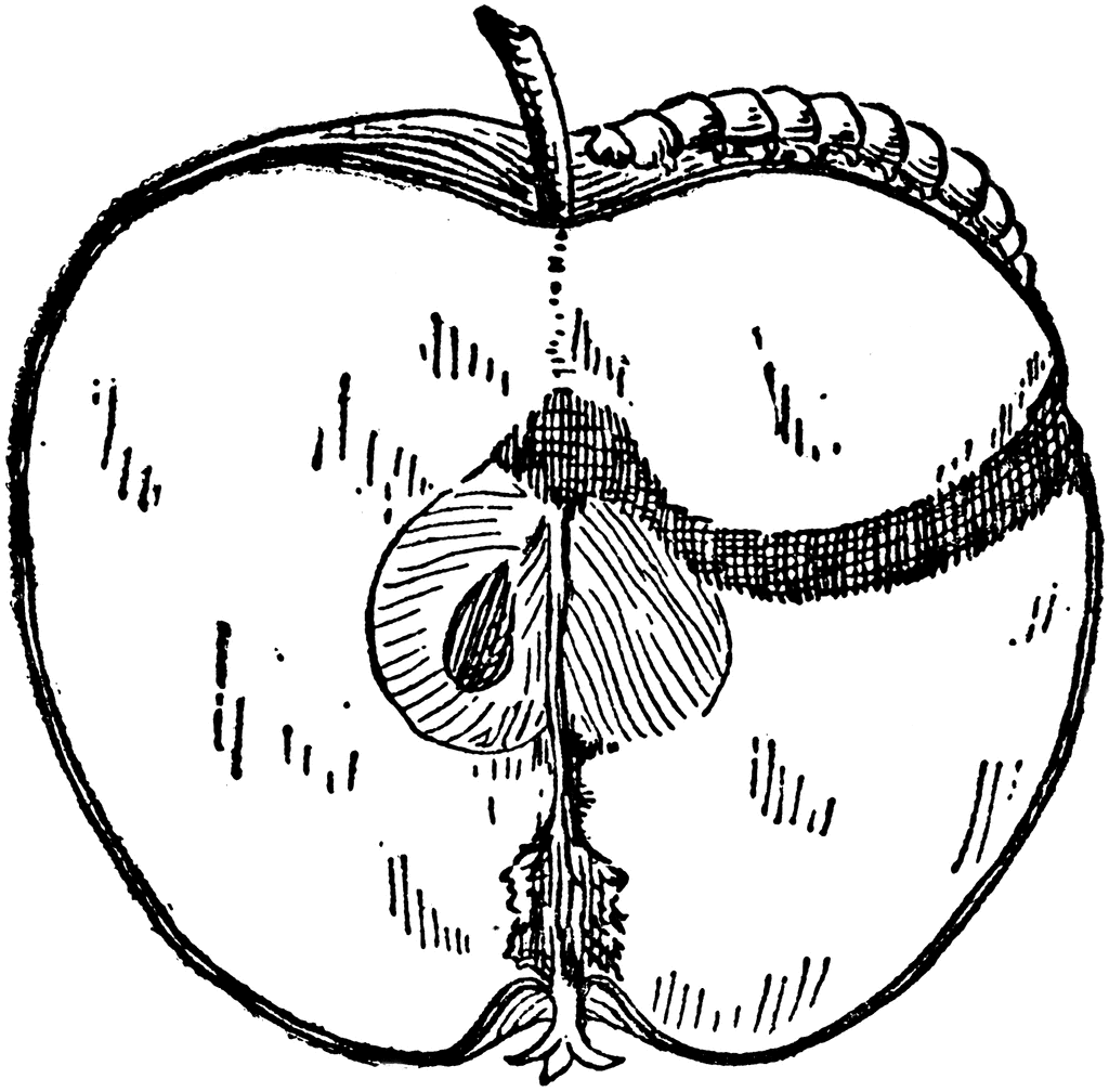 Worm in Apple. To use any of the clipart images above (including the 