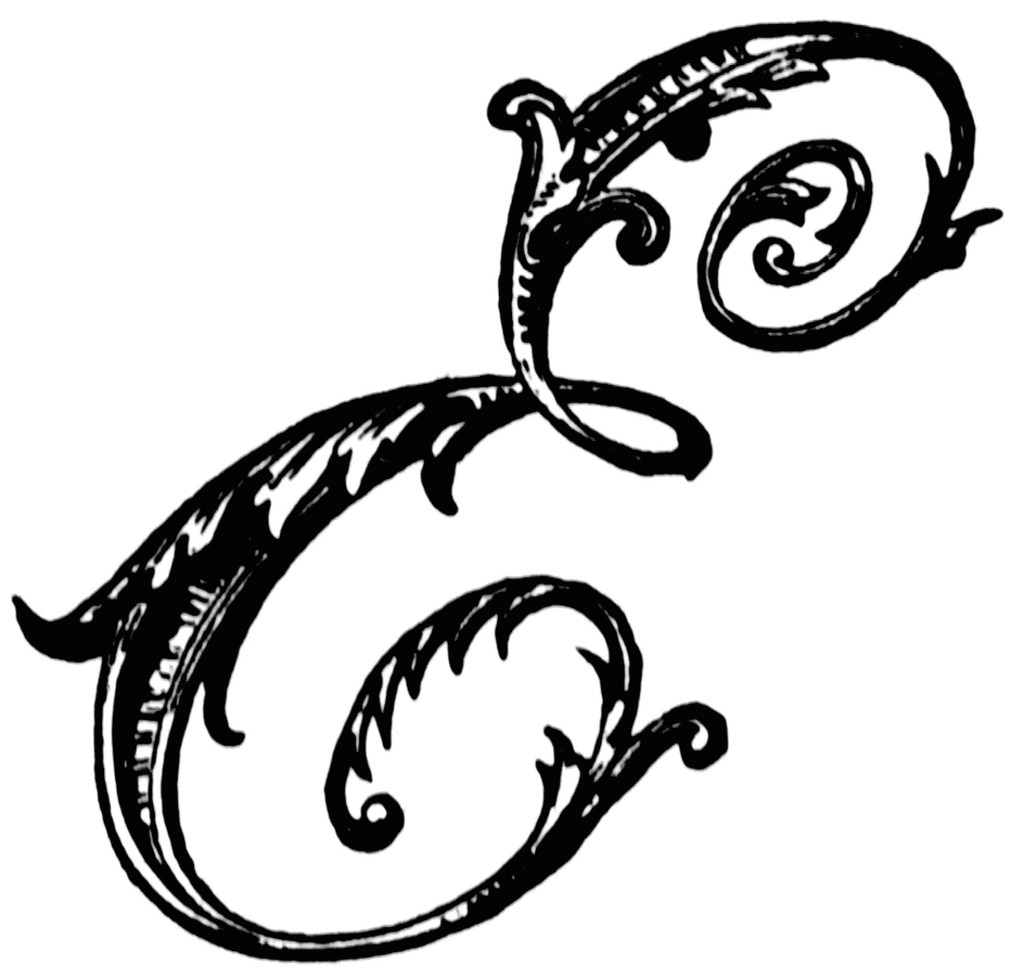 E, Ornamental script