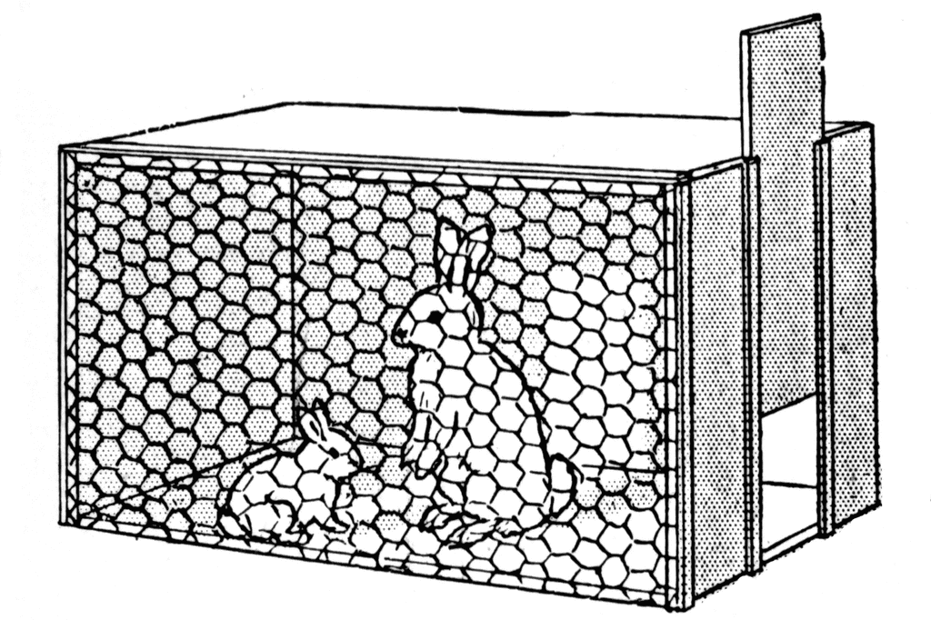 pdf Eifel