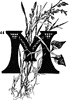 The letter M