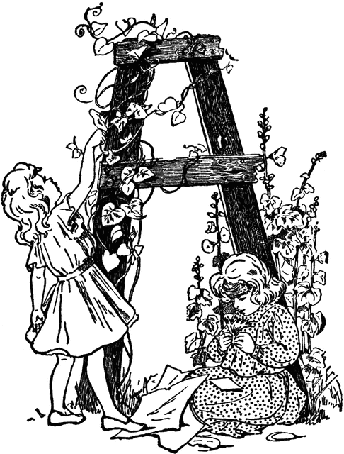 The letter A