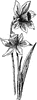 Tissue paper daffodil