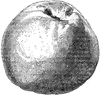 Red Canada apple