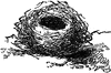 Bird's Nest