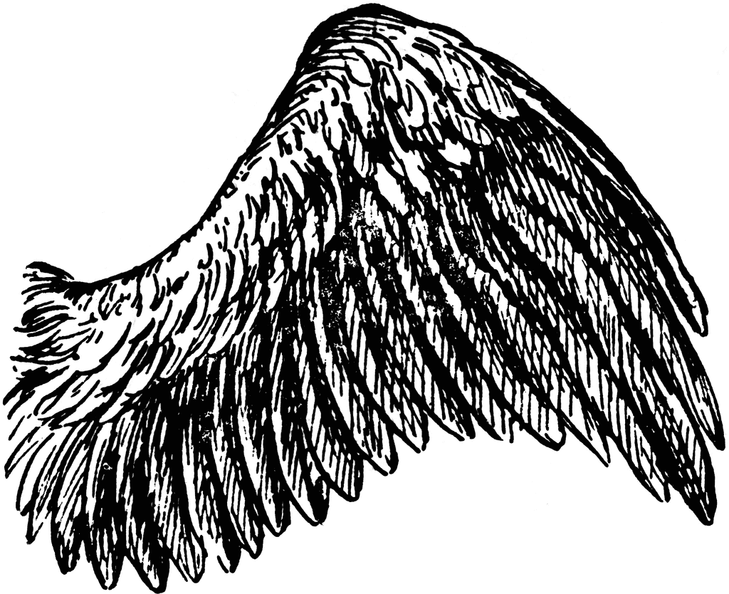 clip art images wings - photo #45