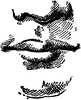 Lips