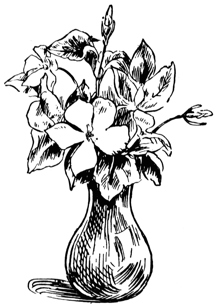 black white flowers png
