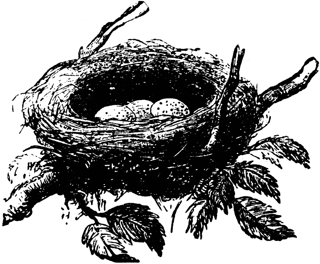 nest clipart black and white - photo #19