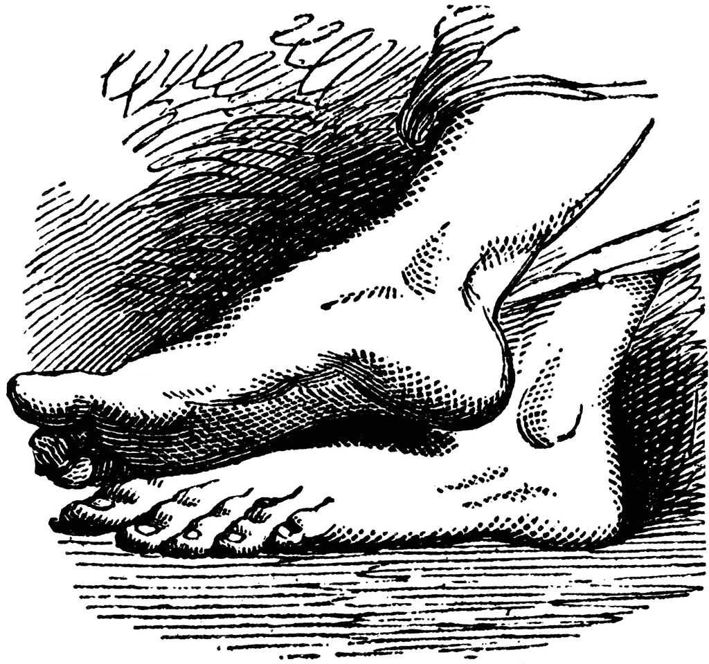 Feet To use any of the clipart images above including the thumbnail image 