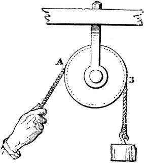 download post mortem technique