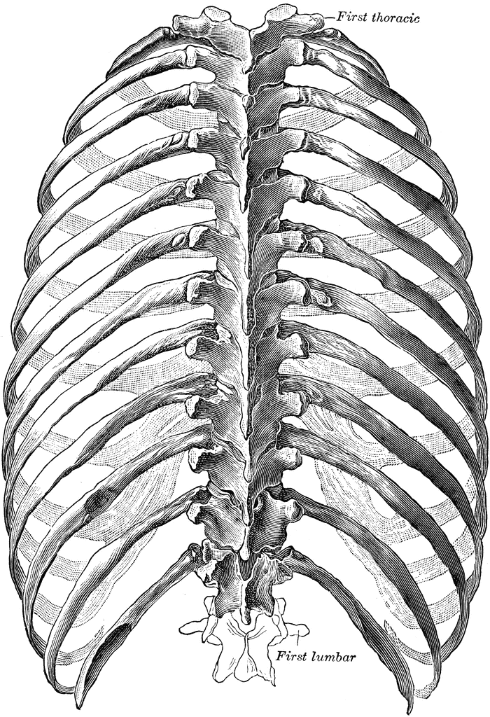 download evolutionary topology optimization of continuum structures methods