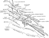 Brachial Plexus