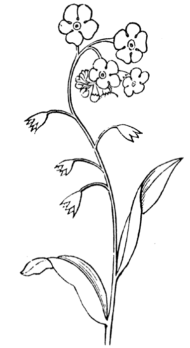 flower clip art outline. flower clip art outline.