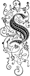 A decorative letter S, surrounded by decorative vines and leaves.