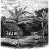 Cabin