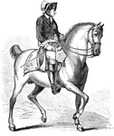 An illustration of Frederick II of Prussia on horseback. Frederick II (January 24, 1712 &ndash; August 17, 1786) was a King of Prussia (1740&ndash;1786) from the Hohenzollern dynasty. In his role as a prince-elector of the Holy Roman Empire, he was Frederick IV of Brandenburg. He became known as Frederick the Great and was nicknamed "Old Fritz".