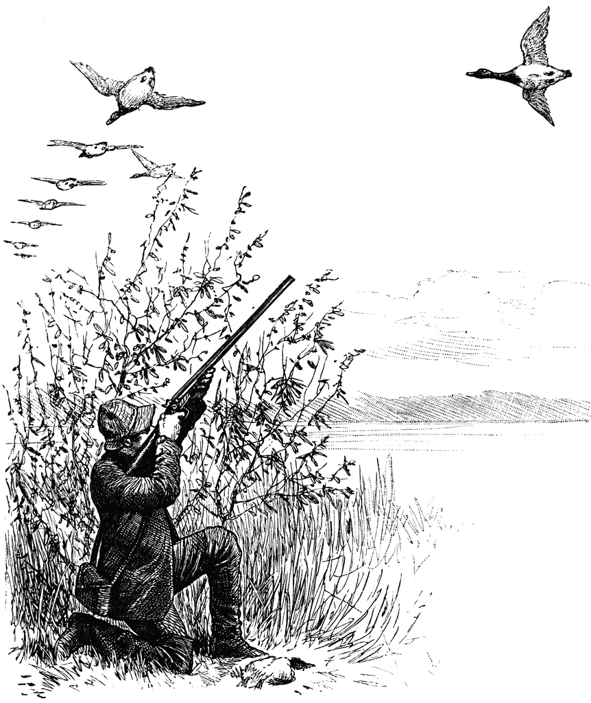goose hunting clipart - photo #1