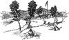 Sutter's Mill