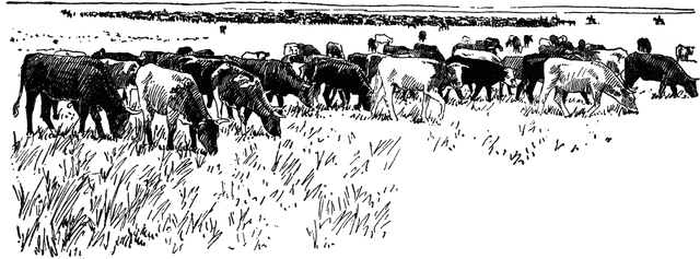 cow grazing clipart - photo #29
