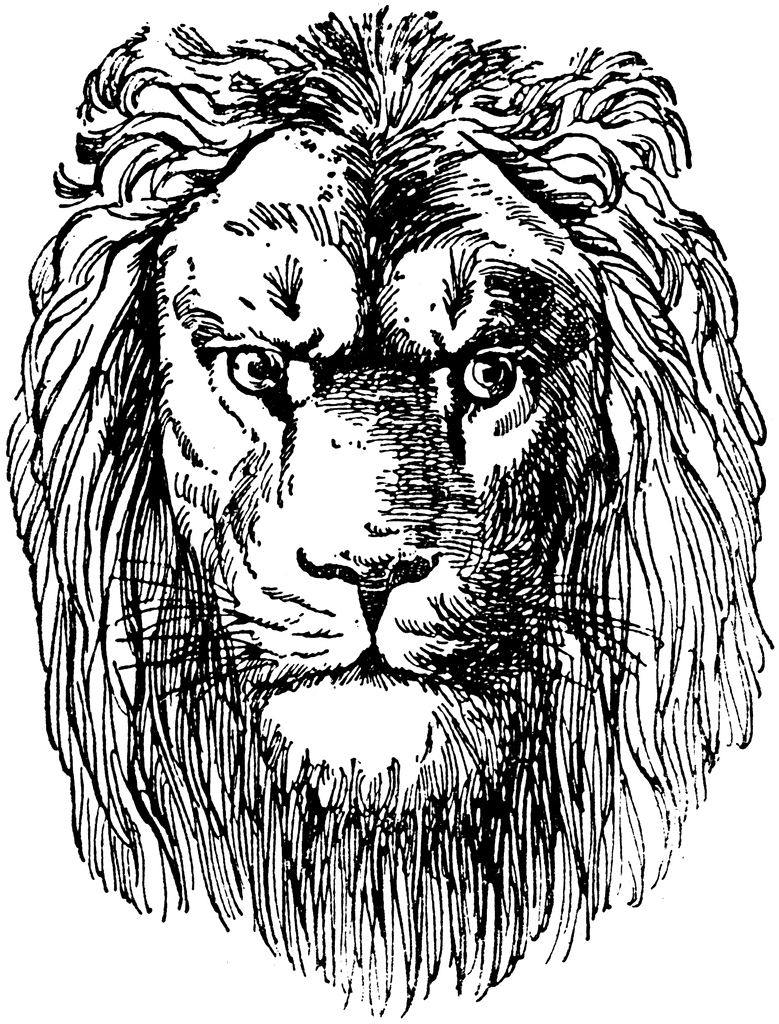 clip art lion head. Lion Head