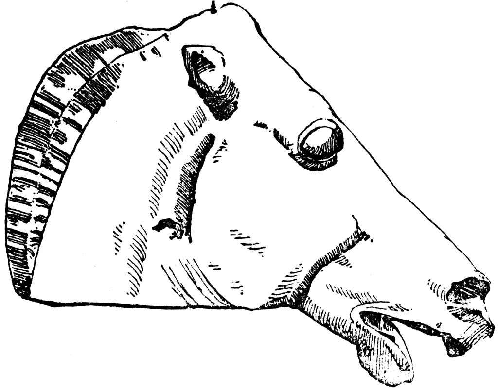 Horse Head To use any of the clipart images above including the thumbnail 