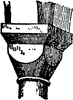 Cushion Capitals