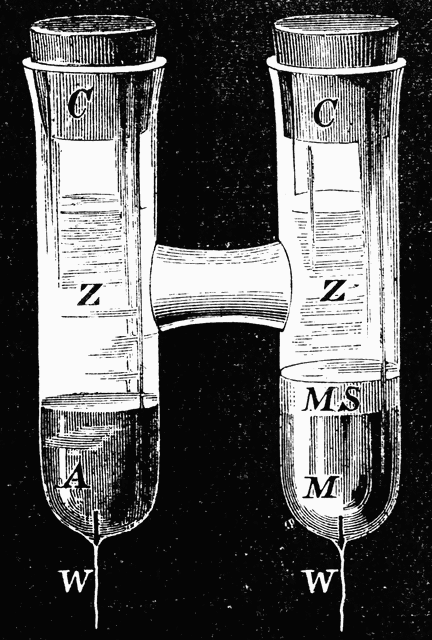 Clark's Standard Cell