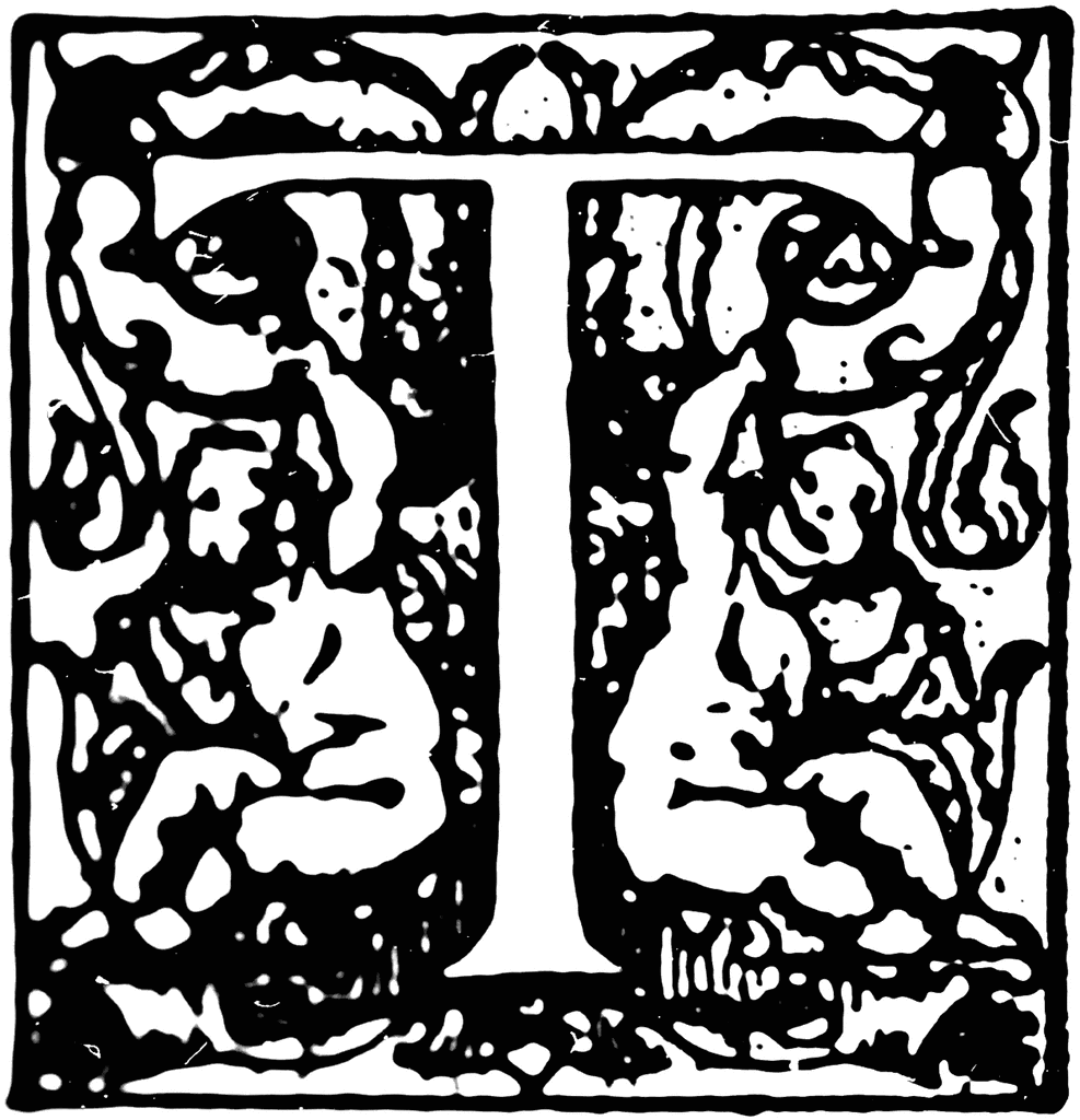 Decorative Letter T