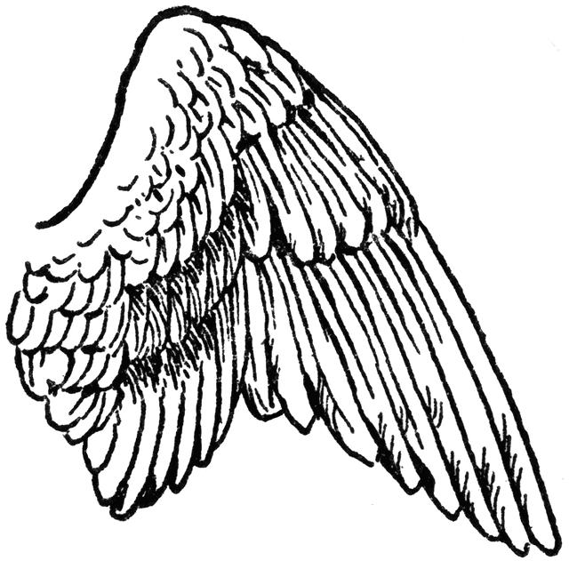 clip art images wings - photo #26