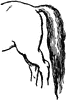 Horse Tail