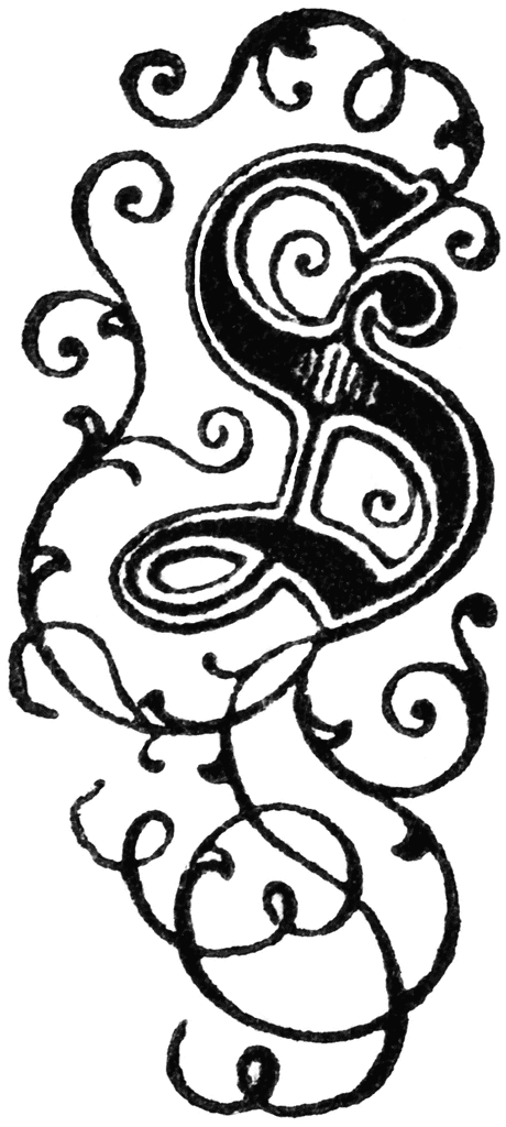 letter s clipart. Decorative Letter S