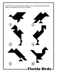 Silhouette outlines of Florida birds (seagull, mocking bird, egret, flamingo, turkey vulture, cormorant) made from tangram pieces. Tangrams, invented by the Chinese, are used to develop geometric thinking and spatial sense. 7 figures consisting of triangles, squares, and parallelograms are used to construct the given shapes.