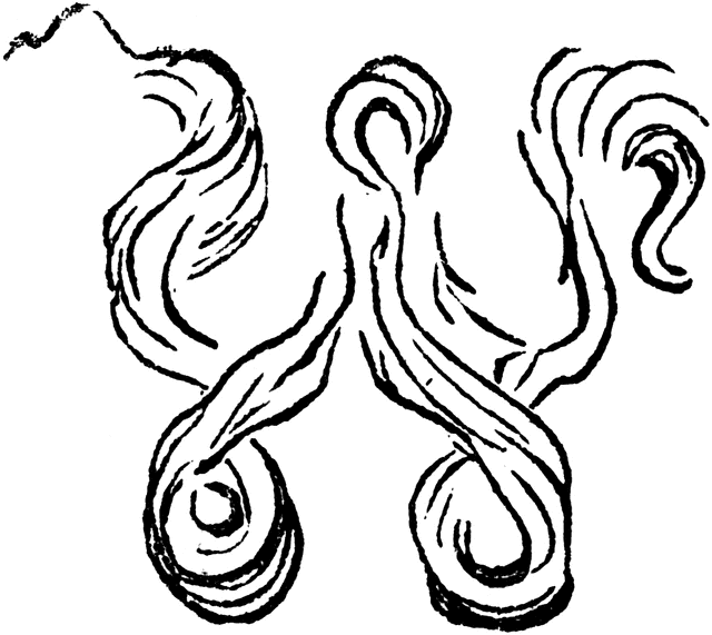 Decorative Letter W