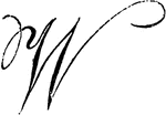 An illustration of a decorative letter W.