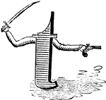 An illustration of a decorative letter T.