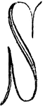 An illustration of a decorative letter S.