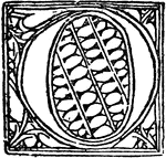 An illustration of a decorative letter O.